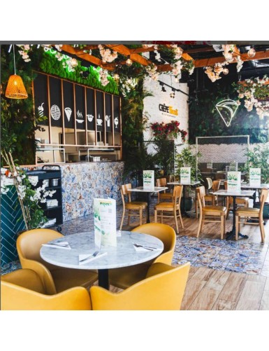 PALMA PALMERA MAJESTY