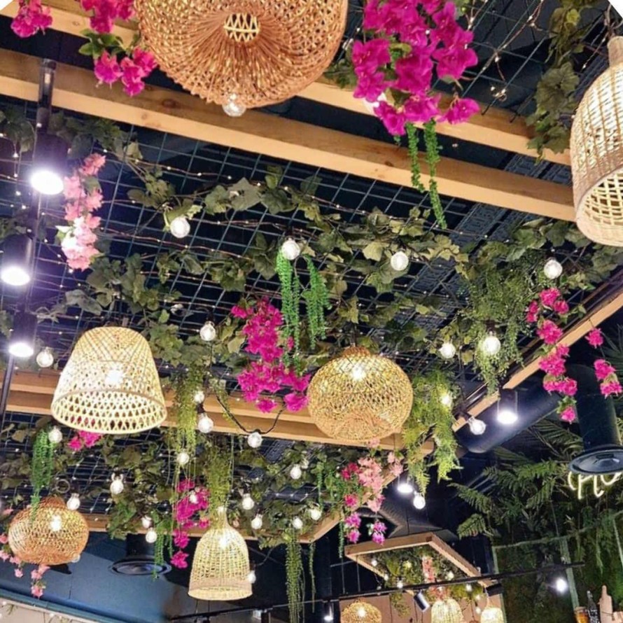 BUGANVILLA NEW LIANAS