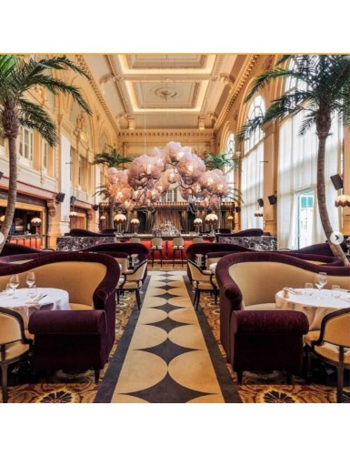 COCOTERO CURVADO NEW