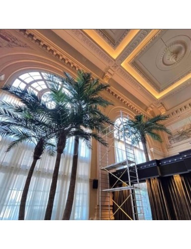 COCOTERO CURVADO NEW