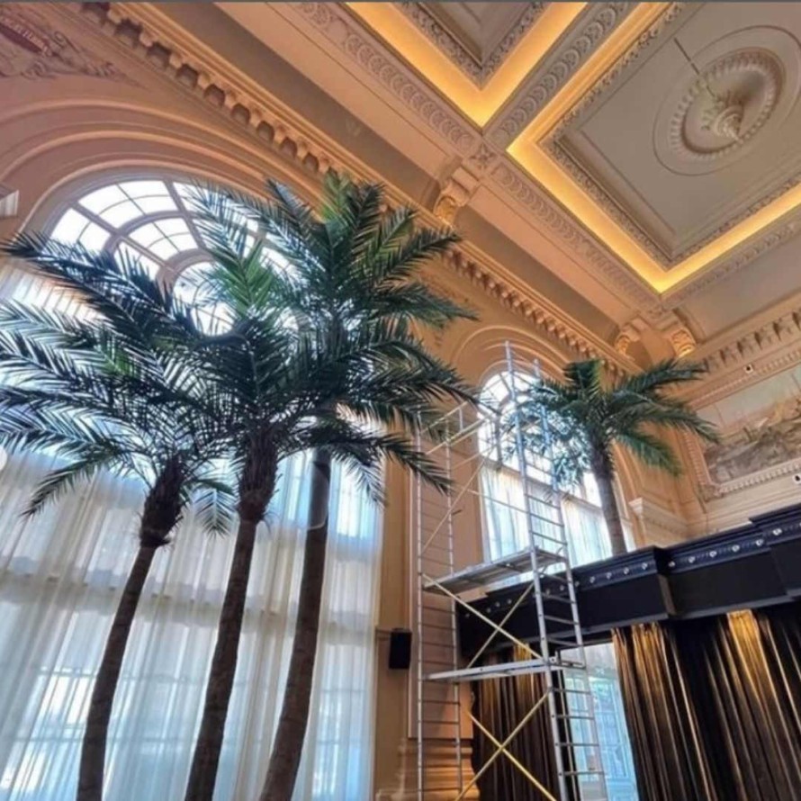 KOKOSPALME IN KURVEN NEW