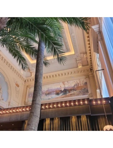 COCOTERO CURVADO NEW