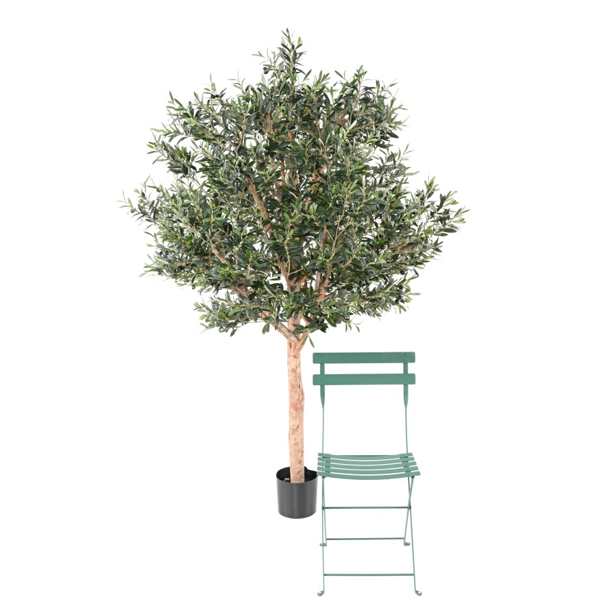 OLIVENBAUM KRONE GROSS