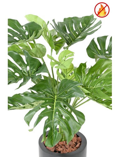 PHILODENDRON GIANT MONSTERA *15 95 cm FR – Feuerbeständig