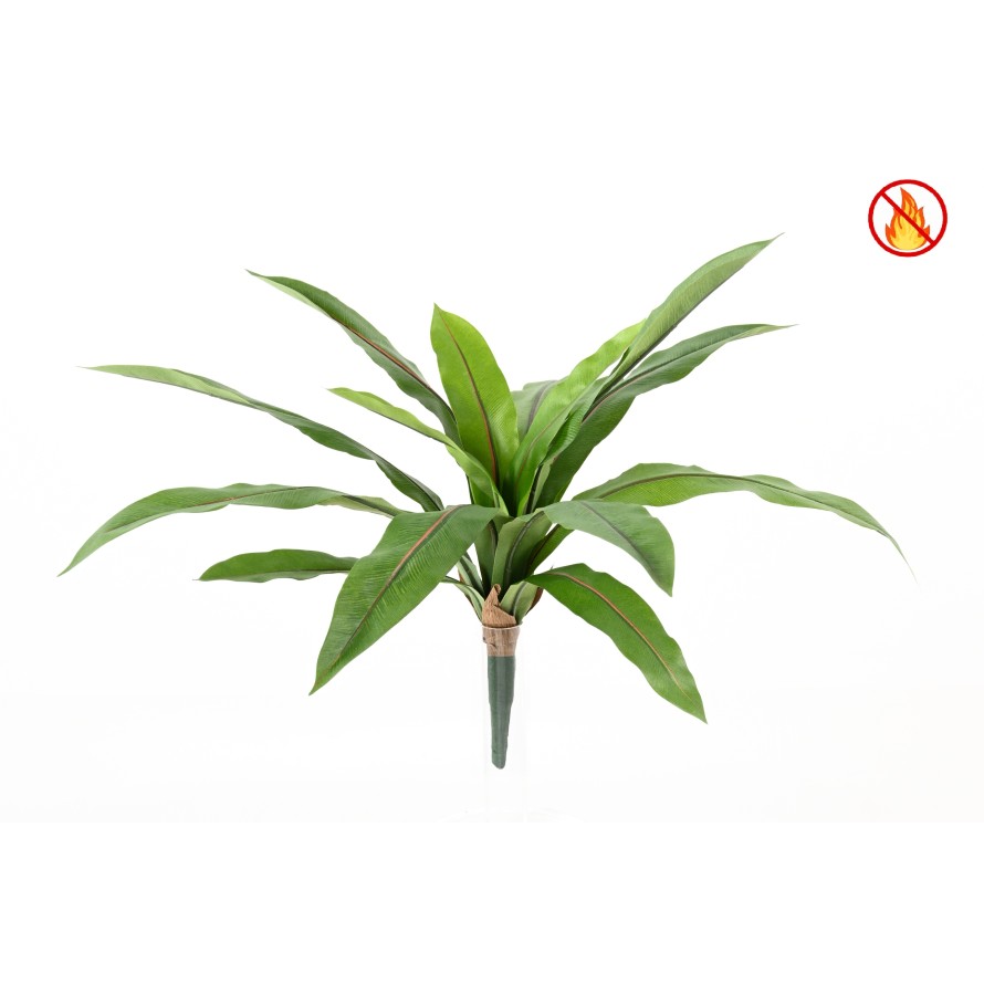 ASPLENIO *15 FR - Resistente al Fuego