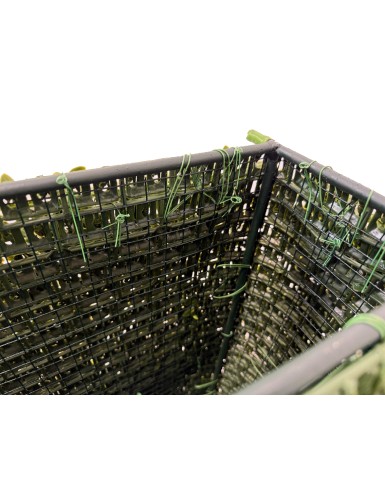 ZYPRESSE JUNIPERUS HECKE METALLSTRUKTUR