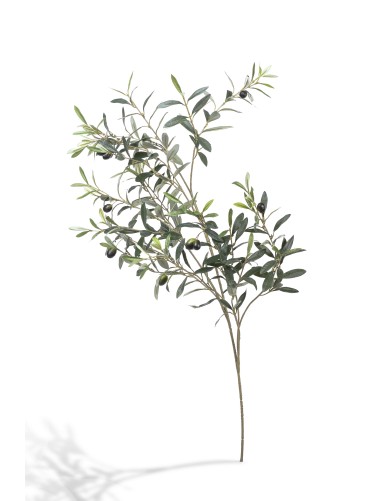 OLIVO RAMA 109 CM *306*12FT