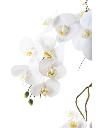 ARRANGEMENT PHALAENOPSIS