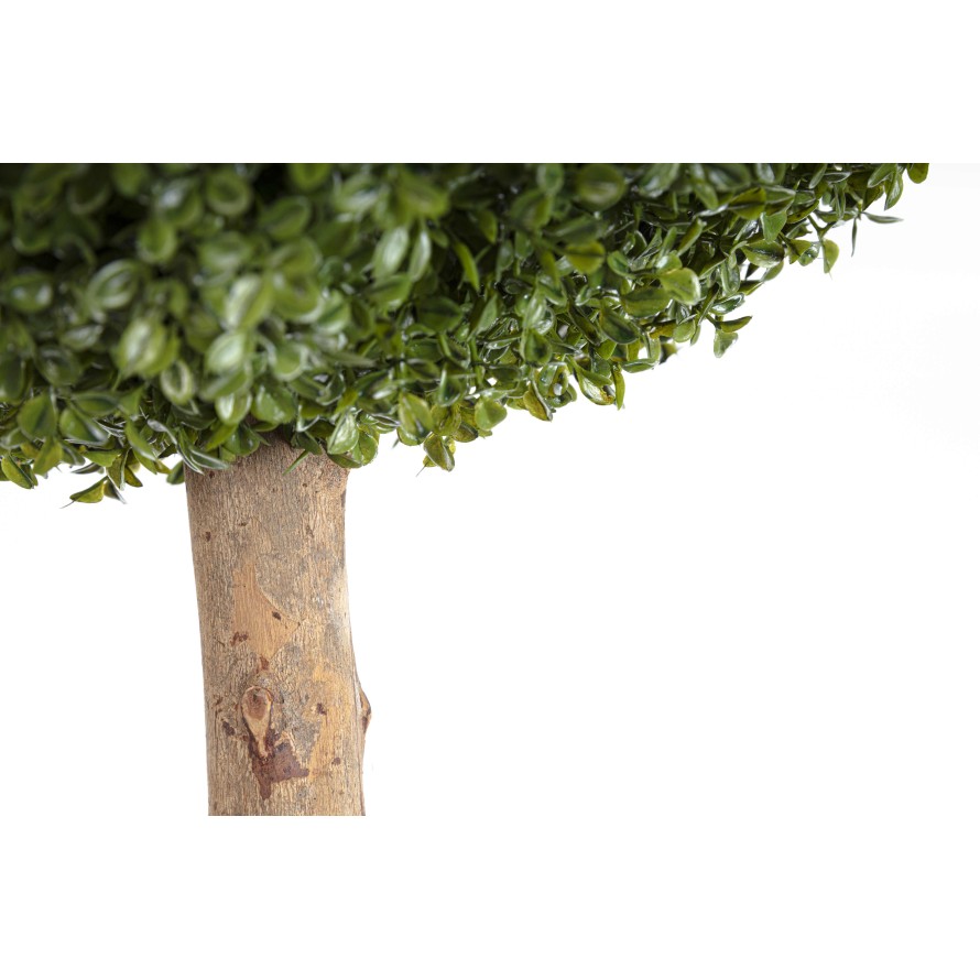 BOJ ESFERA STK (Precio neto promocional)