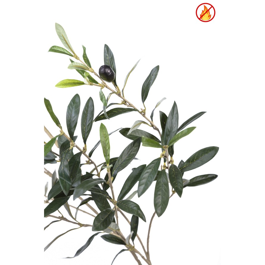 OLIVENBAUM NEW ZWEIG 109CM FR – Feuerbeständig