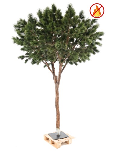 PINO MARÍTIMO 310 FR - Resistente al Fuego