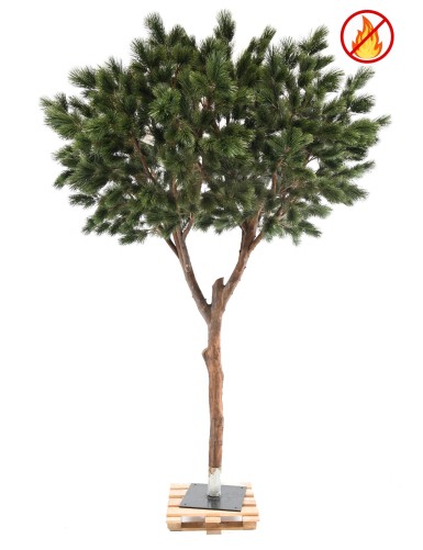 KIEFER MARITIM 310 FR – Feuerbeständig