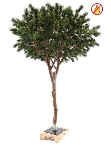 KIEFER MARITIM 310 FR – Feuerbeständig