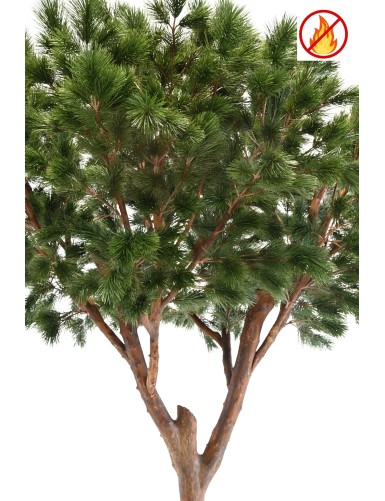 PINO MARÍTIMO 310 FR - Resistente al Fuego