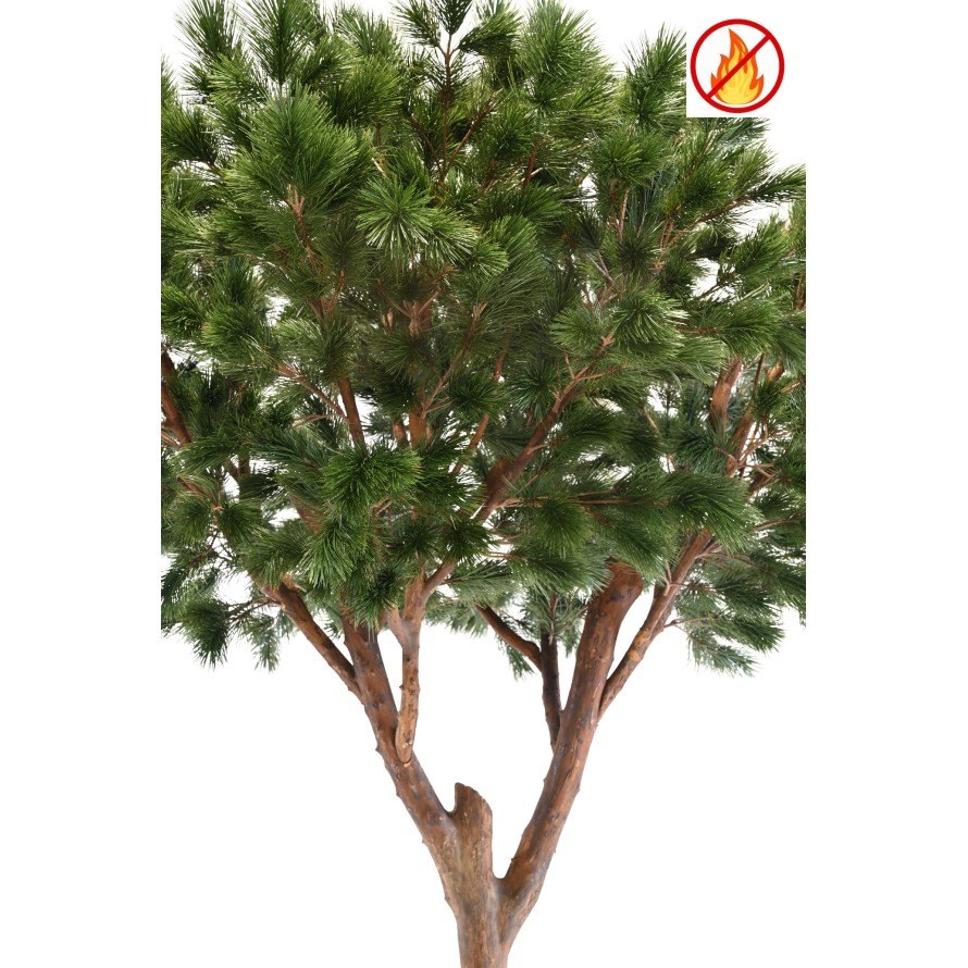 KIEFER MARITIM 310 FR – Feuerbeständig