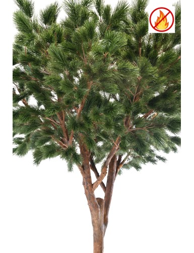 PINO MARÍTIMO 310 FR - Resistente al Fuego