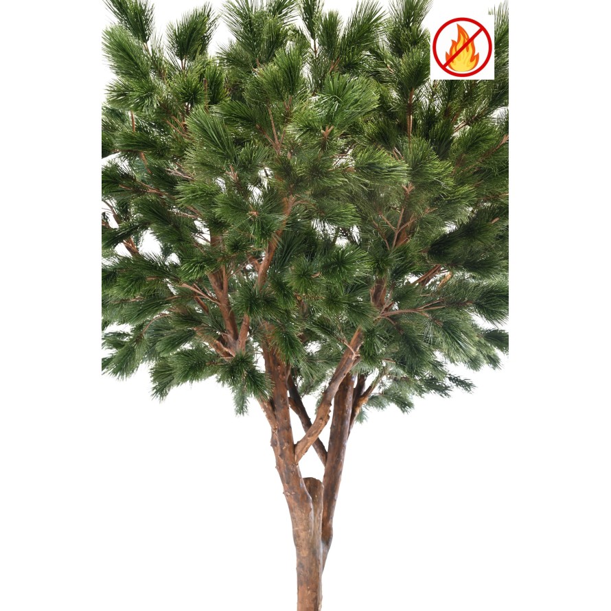 KIEFER MARITIM 310 FR – Feuerbeständig