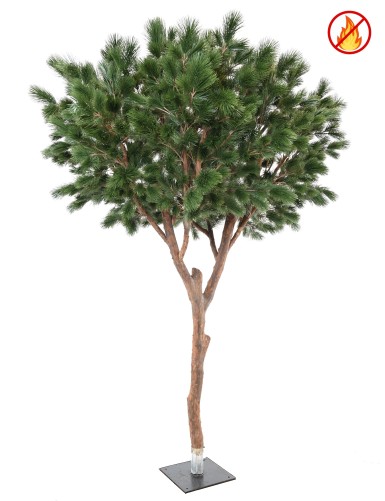 KIEFER MARITIM 310 FR –...