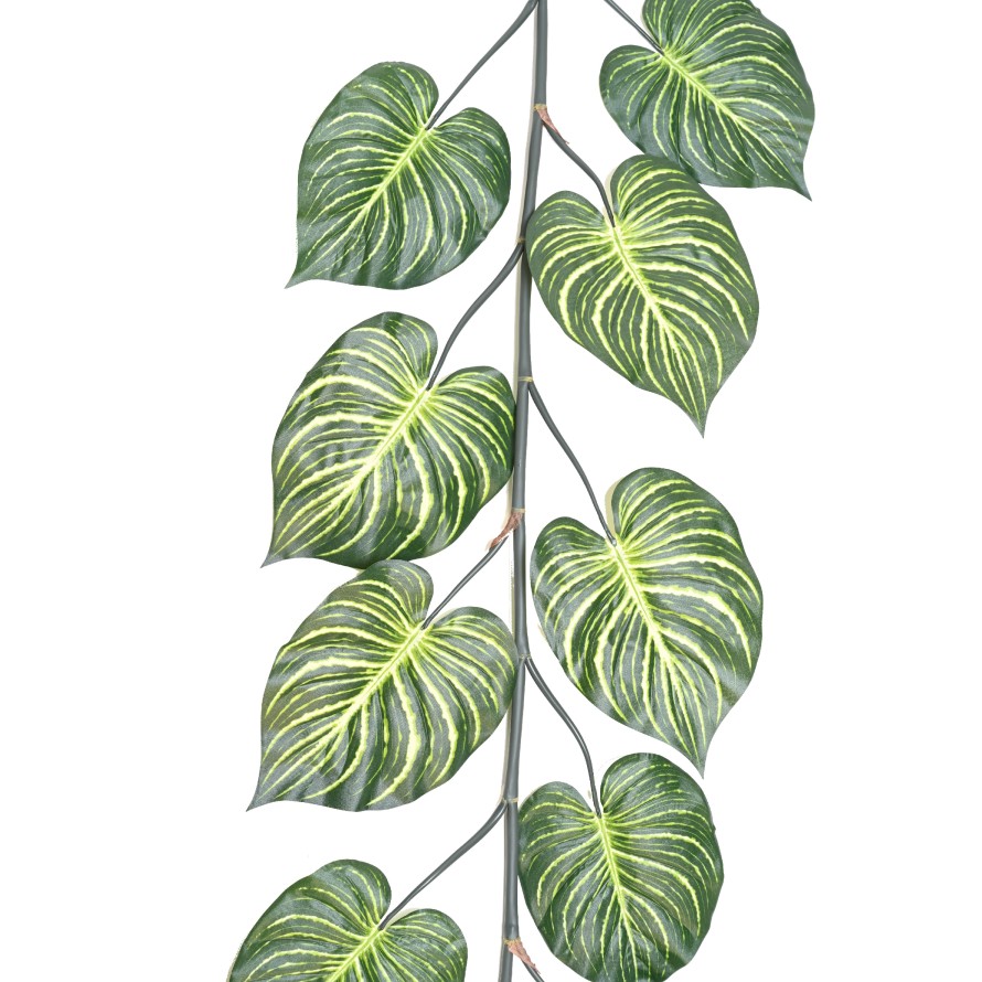 APHELANDRA GIGANTE GUIRNALDA 180