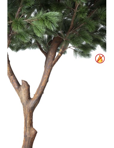 KIEFER MARITIM 310 FR – Feuerbeständig