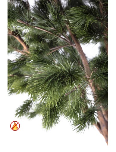 KIEFER MARITIM 310 FR – Feuerbeständig