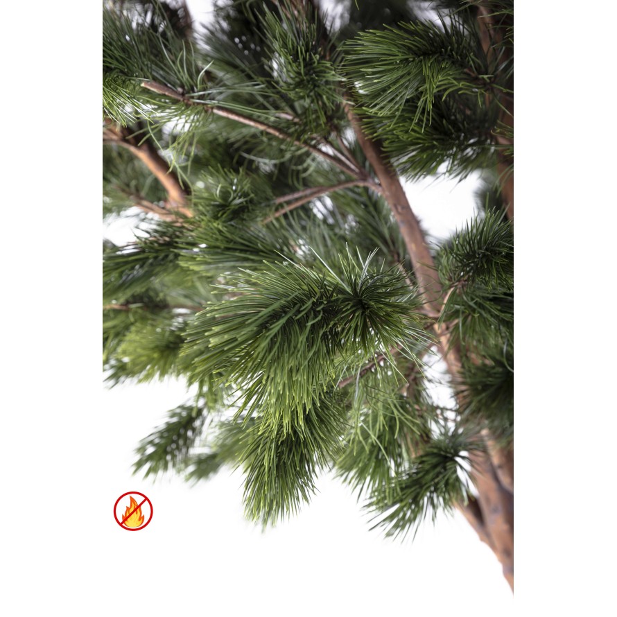 KIEFER MARITIM 310 FR – Feuerbeständig