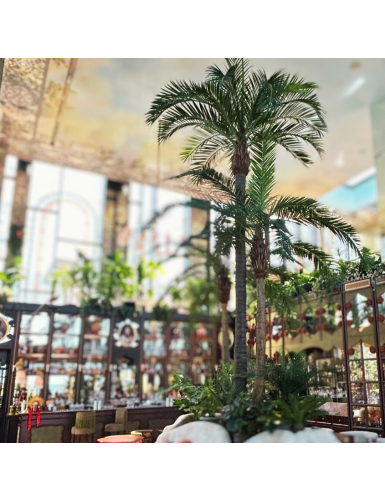 KOKOSPALME IN KURVEN NEW