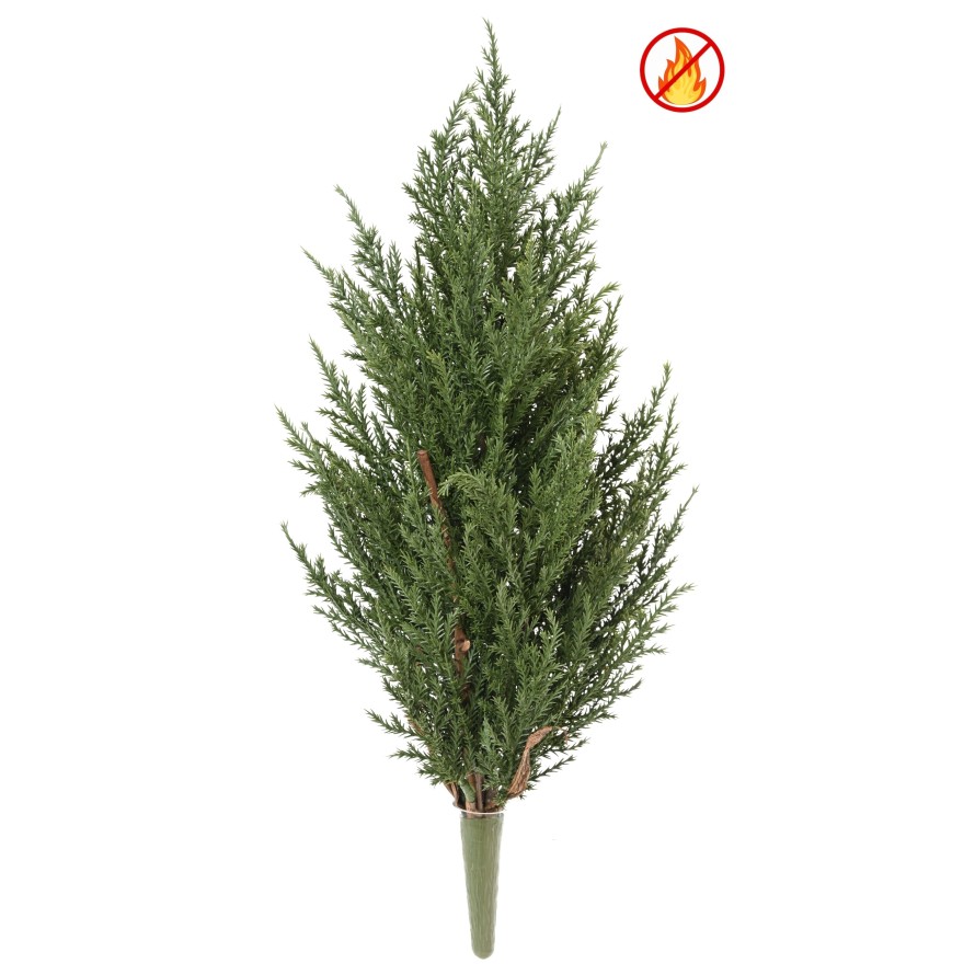 CIPRÉS JUNIPERUS 50 CM FR - Resistente al Fuego