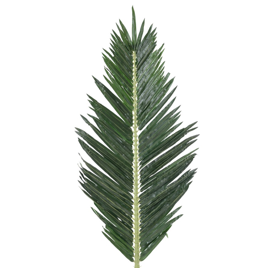 PALM TREE ROYAL FOLIAGE 180