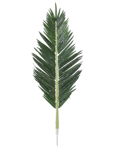 PALMWEDEL PALME ROYAL 180