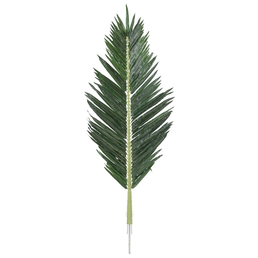 PALMWEDEL PALME ROYAL 180