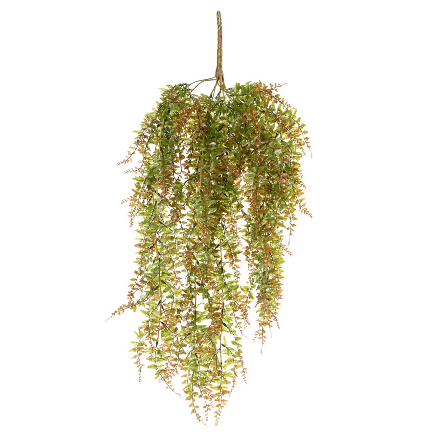 FERN HANGING BUSH PLAST 186LL