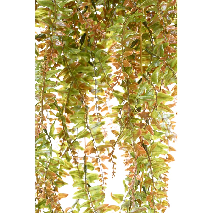 FERN HANGING BUSH PLAST 186LL