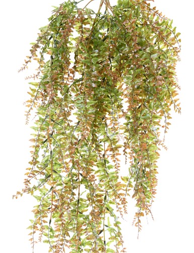 FERN HANGING BUSH PLAST 186LL