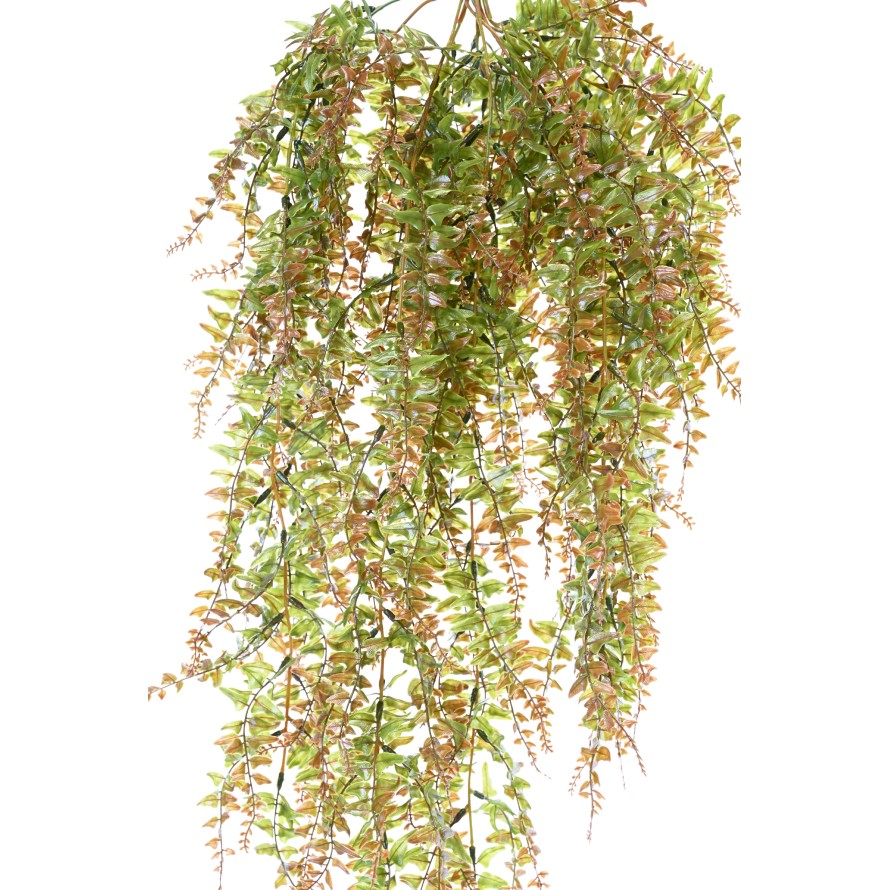 FERN HANGING BUSH PLAST 186LL
