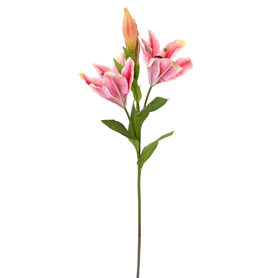 LIRIO CASABLANCA 2fl