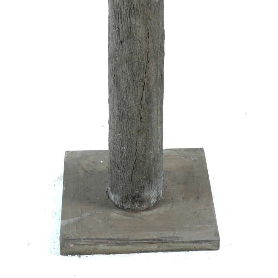 ÁRBOL FRUTAL PLETINA (árbol camelia japonica)