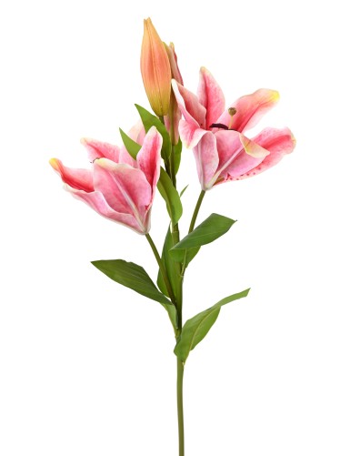 LIRIO CASABLANCA 2fl