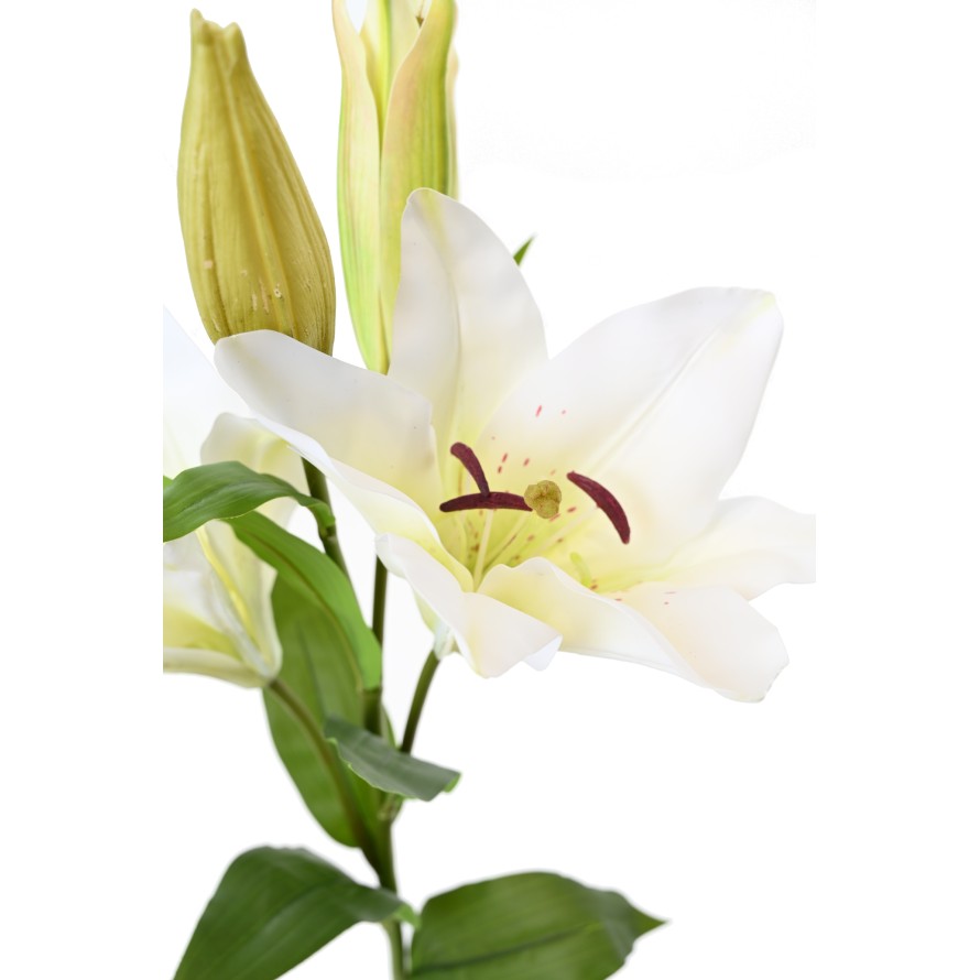 LIRIO CASABLANCA 2fl