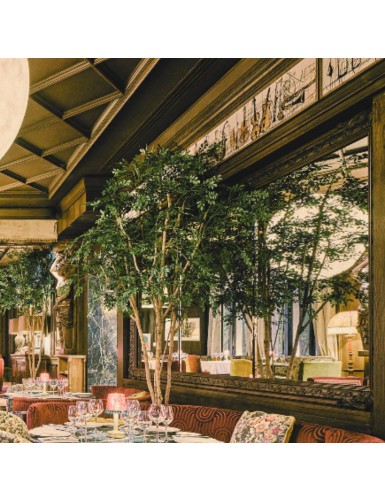 BUCIDA TREE 330 LUXE FR – Feuerbeständig