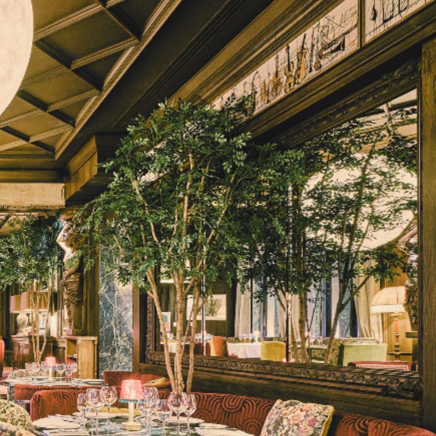 BUCIDA TREE 330 LUXE FR – Feuerbeständig