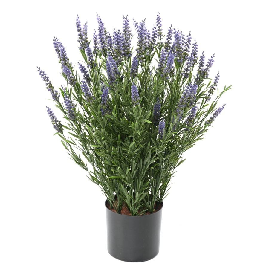 LAVENDEL TOPF 68 CM (Plast) UV-beständig
