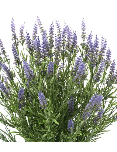 LAVENDEL TOPF 68 CM (Plast) UV-beständig