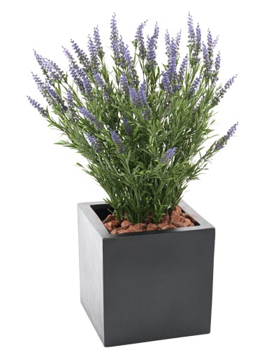 LAVENDEL TOPF 68 CM (Plast) UV-beständig