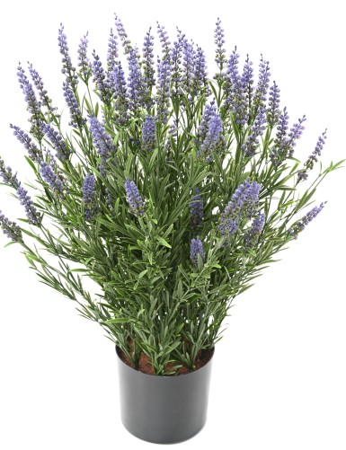 LAVENDEL TOPF 68 CM (Plast) UV-beständig