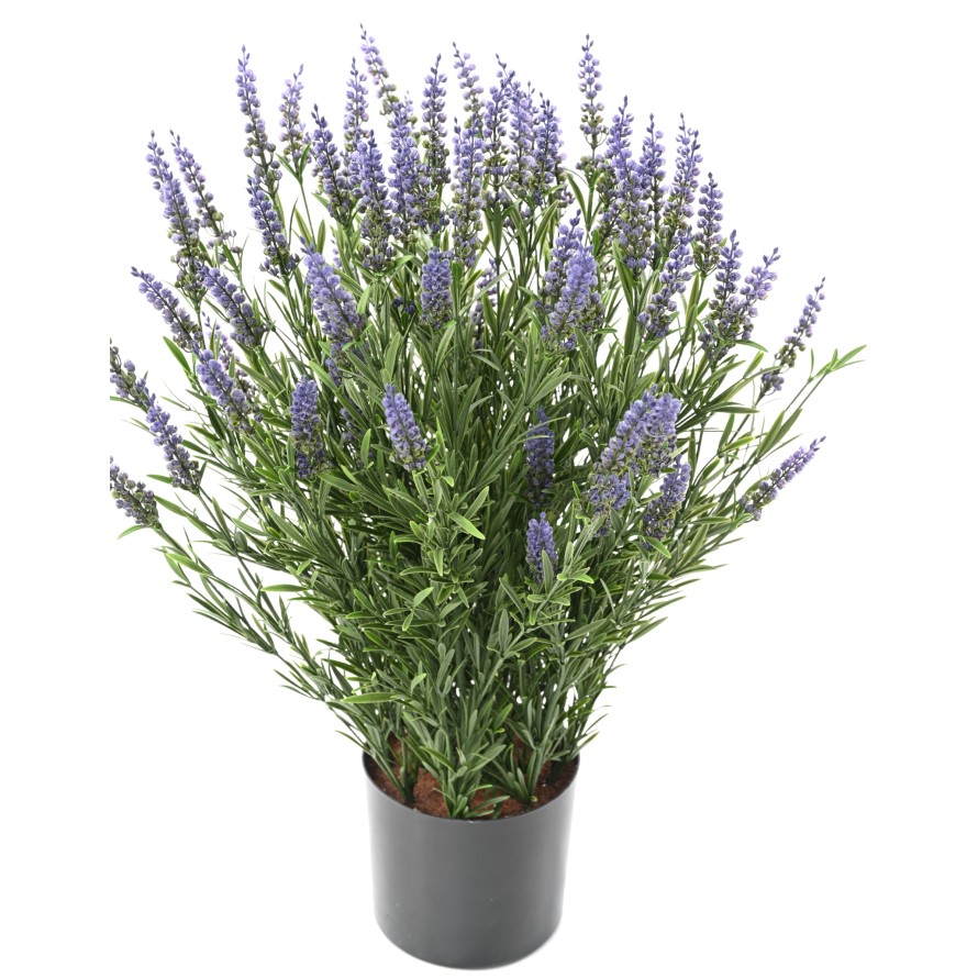 LAVENDEL TOPF 68 CM (Plast) UV-beständig