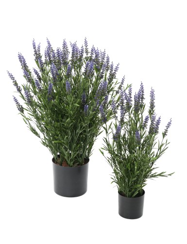 LAVENDEL TOPF 68 CM (Plast)...