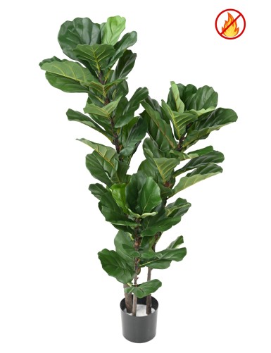 LYRATA STÄNGEL FR –...