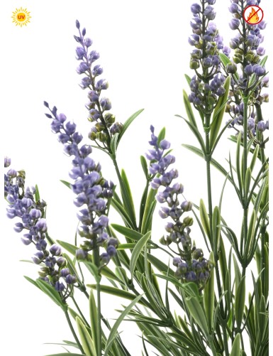LAVANDA EN MACETA 55 CM (plást.) UV FR - RESISTENTE A LOS RAYOS UV/RESISTENTE AL