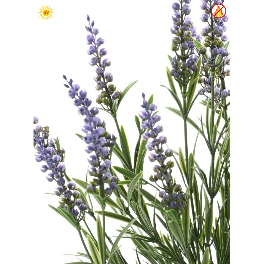 LAVANDA EN MACETA 55 CM (plást.) UV FR - RESISTENTE A LOS RAYOS UV/RESISTENTE AL